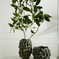 Layered Avocado Collection By Accent Decor | Stands | Modishstore - 3