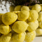 Layered Lemon Collection By Accent Decor | Planters, Troughs & Cachepots | Modishstore - 1
