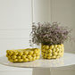 Layered Lemon Collection By Accent Decor | Planters, Troughs & Cachepots | Modishstore - 3