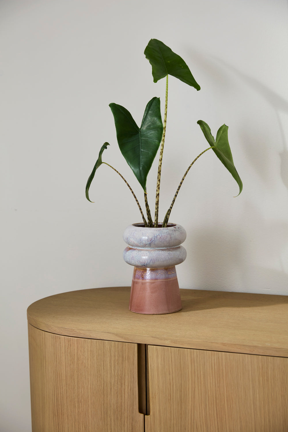 Lefkara Pot Set of 4 By Accent Decor | Planters, Troughs & Cachepots | Modishstore - 3