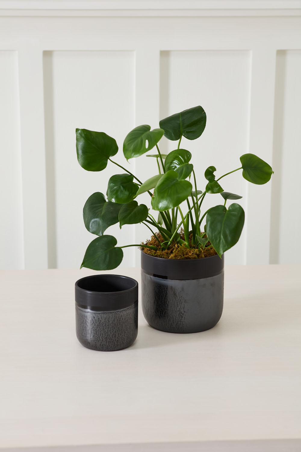 Lennon Pot Set of 4 By Accent Decor | Planters, Troughs & Cachepots | Modishstore - 1