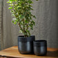 Lennon Pot Set of 4 By Accent Decor | Planters, Troughs & Cachepots | Modishstore - 3