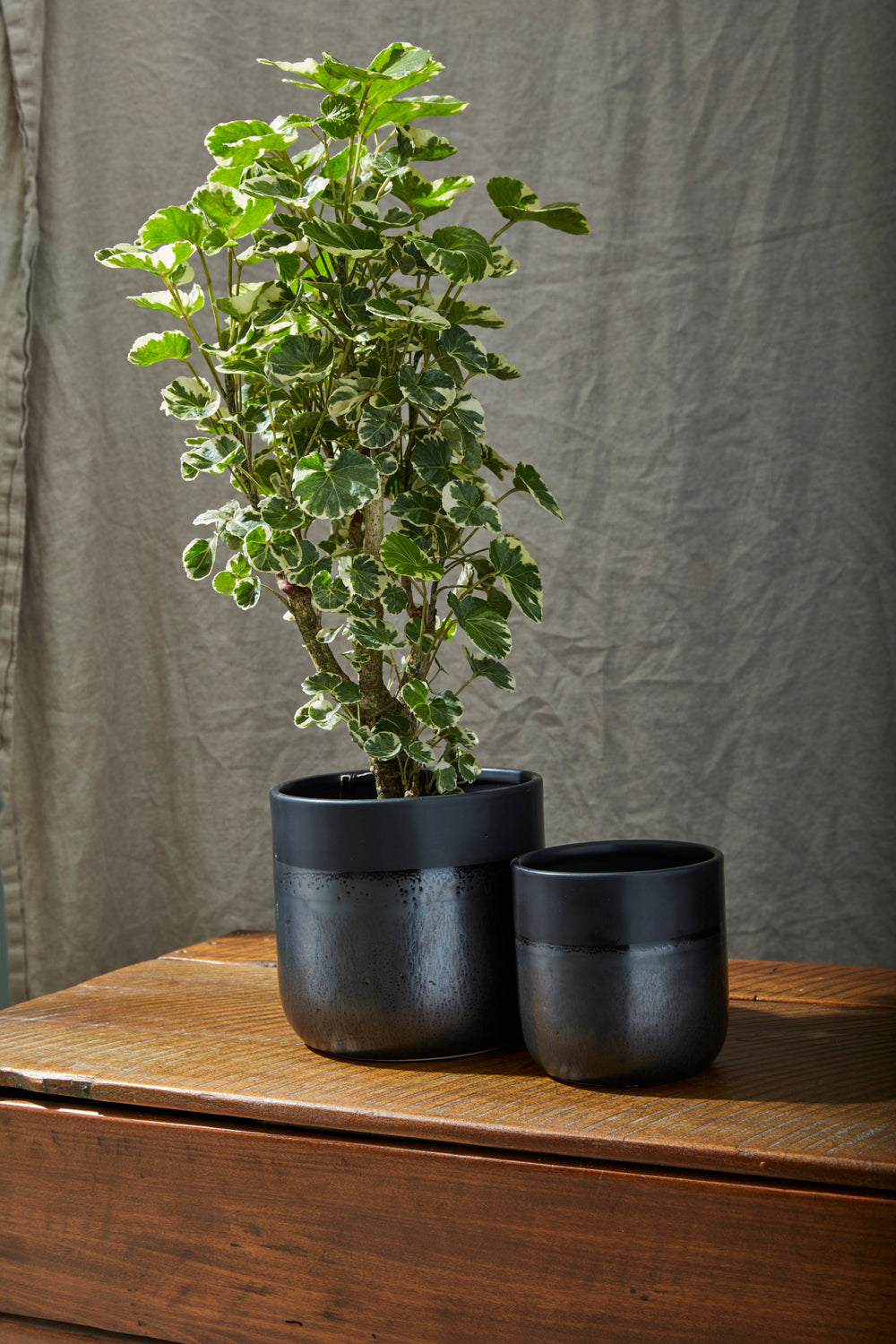 Lennon Pot Set of 4 By Accent Decor | Planters, Troughs & Cachepots | Modishstore - 3
