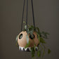 Liko Hanging Planter Set of 2 By Accent Decor | Planters, Troughs & Cachepots | Modishstore - 1