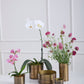 Lincoln Collection Set of 8 By Accent Decor | Planters, Troughs & Cachepots | Modishstore - 1