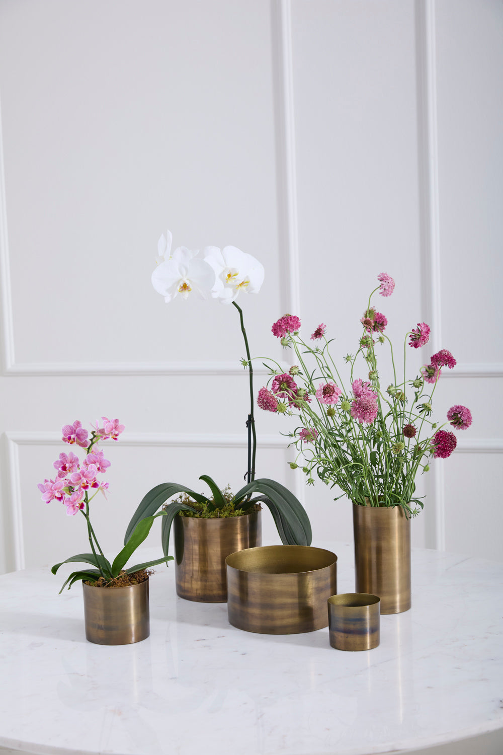 Lincoln Collection Set of 8 By Accent Decor | Planters, Troughs & Cachepots | Modishstore - 1