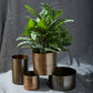 Lincoln Collection Set of 8 By Accent Decor | Planters, Troughs & Cachepots | Modishstore - 3