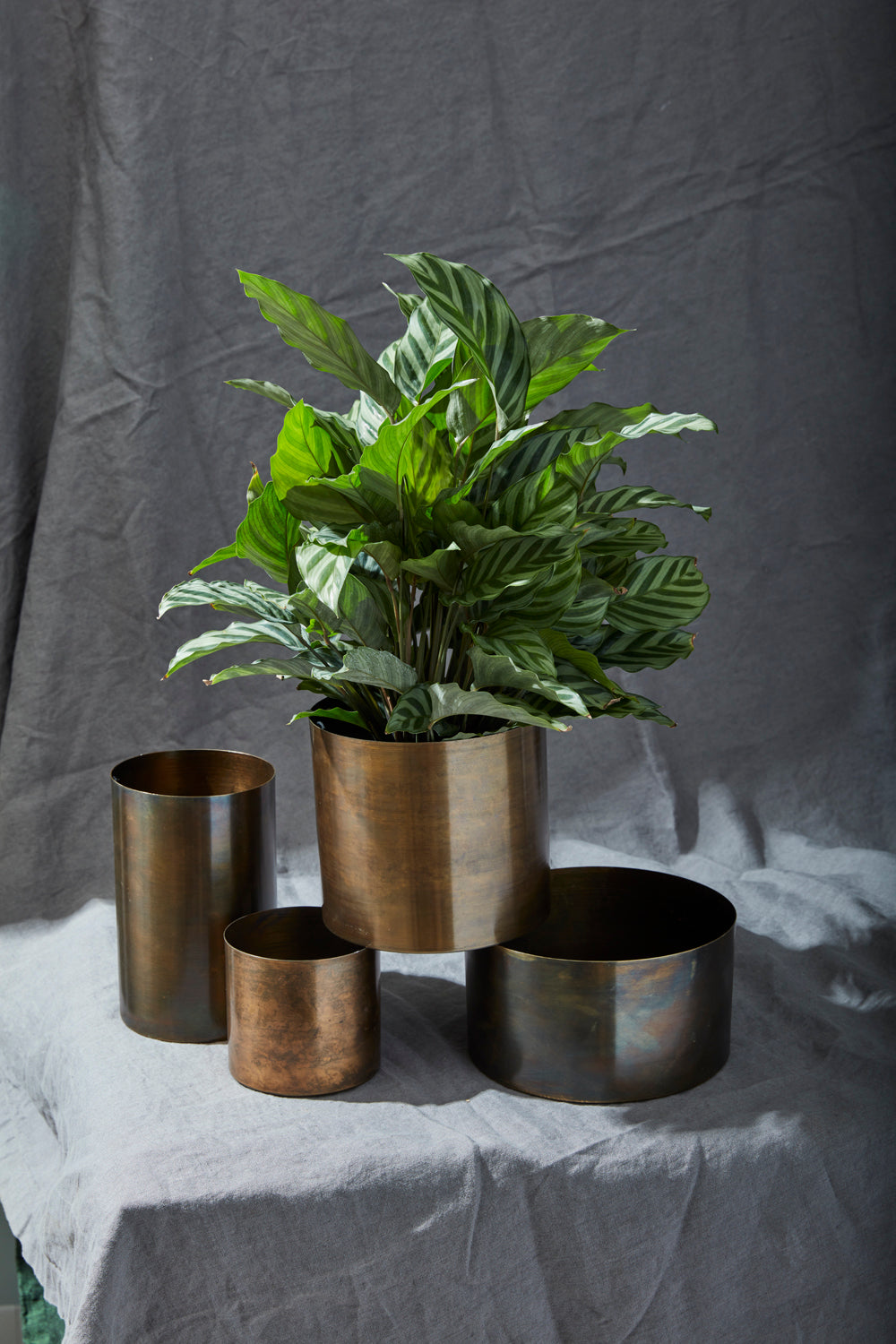 Lincoln Collection Set of 8 By Accent Decor | Planters, Troughs & Cachepots | Modishstore - 3