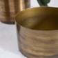 Lincoln Collection Set of 8 By Accent Decor | Planters, Troughs & Cachepots | Modishstore - 4