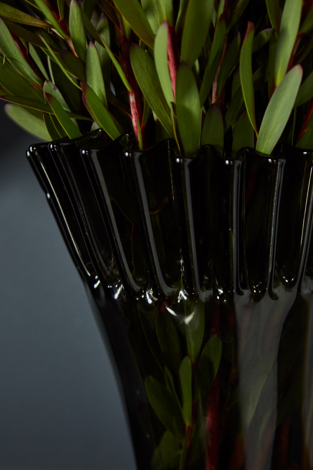 Lolanthe Vase By Accent Decor | Vases | Modishstore - 5
