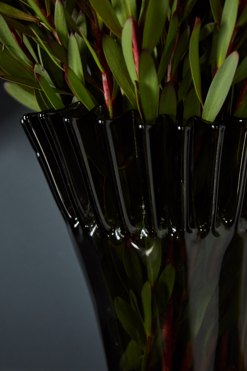 Lolanthe Vase By Accent Decor | Vases | Modishstore - 5