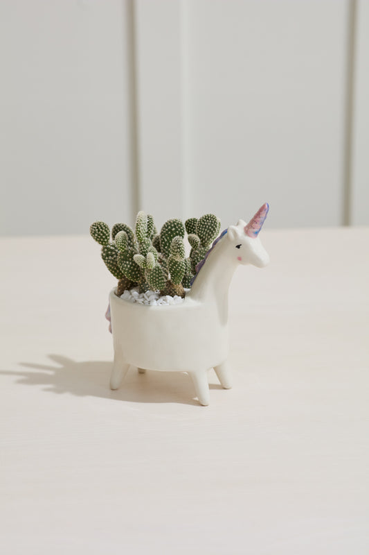 Lolly Unicorn Planter Set of 4 By Accent Decor | Planters, Troughs & Cachepots | Modishstore - 1