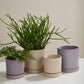 Los Feliz Pot with Saucer Set of 4 By Accent Decor | Stands | Modishstore - 3