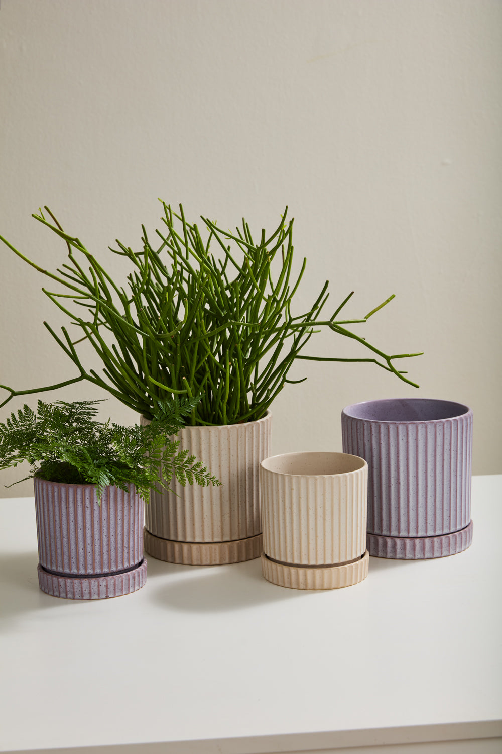 Los Feliz Pot with Saucer Set of 4 By Accent Decor | Stands | Modishstore - 3