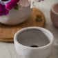 Lottie Bowl Set of 8 By Accent Decor | Decorative Bowls | Modishstore - 5