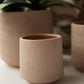 Luciana Pot Set of 8 By Accent Decor | Stands | Modishstore - 1