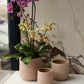 Luciana Pot Set of 8 By Accent Decor | Stands | Modishstore - 3