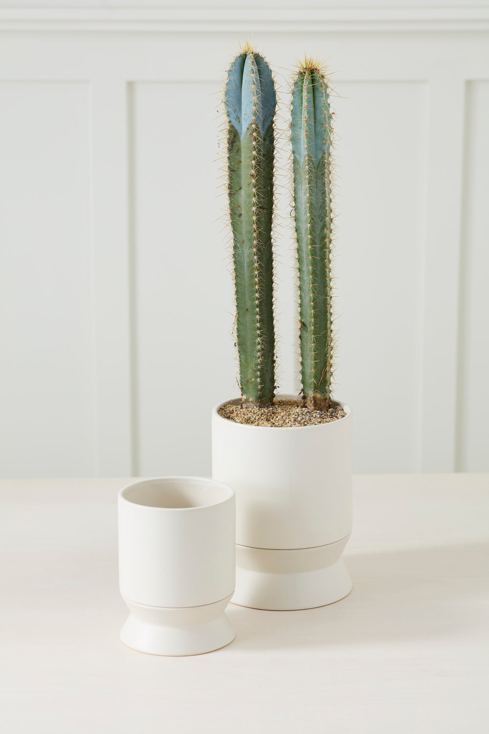 Madison Pot with Saucer Set of 2 By Accent Decor | Wall Decor | Modishstore - 5