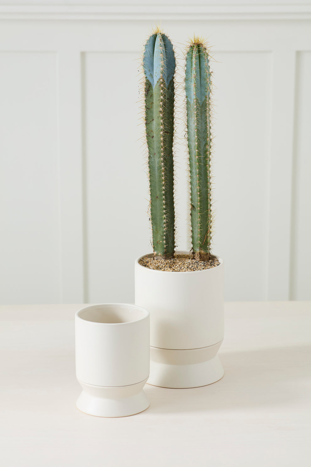 Madison Pot with Saucer Set of 2 By Accent Decor | Wall Decor | Modishstore - 5