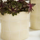 Maison Collection Set of 4 By Accent Decor | Stands | Modishstore - 1