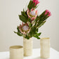 Maison Collection Set of 4 By Accent Decor | Stands | Modishstore - 3
