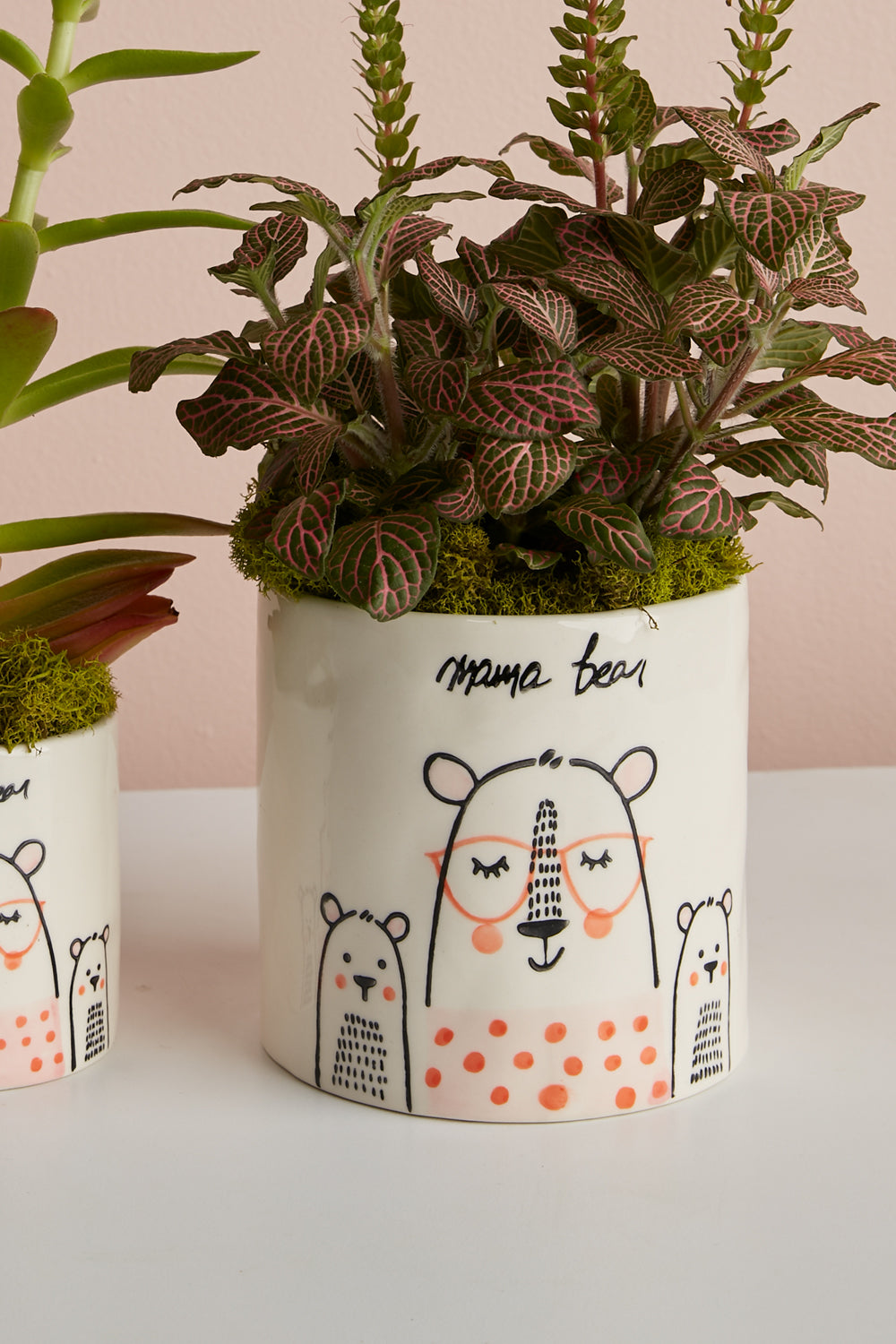 Mama Bear Collection Set of 8 By Accent Decor | Planters, Troughs & Cachepots | Modishstore - 1
