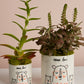 Mama Bear Collection Set of 8 By Accent Decor | Planters, Troughs & Cachepots | Modishstore - 3