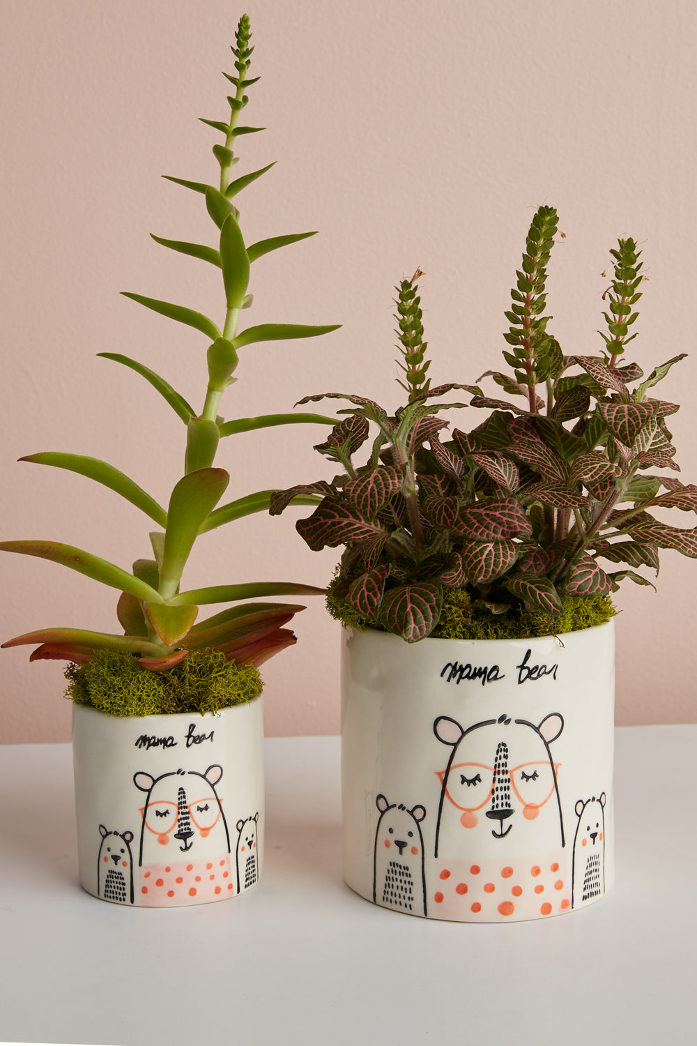 Mama Bear Collection Set of 8 By Accent Decor | Planters, Troughs & Cachepots | Modishstore - 3