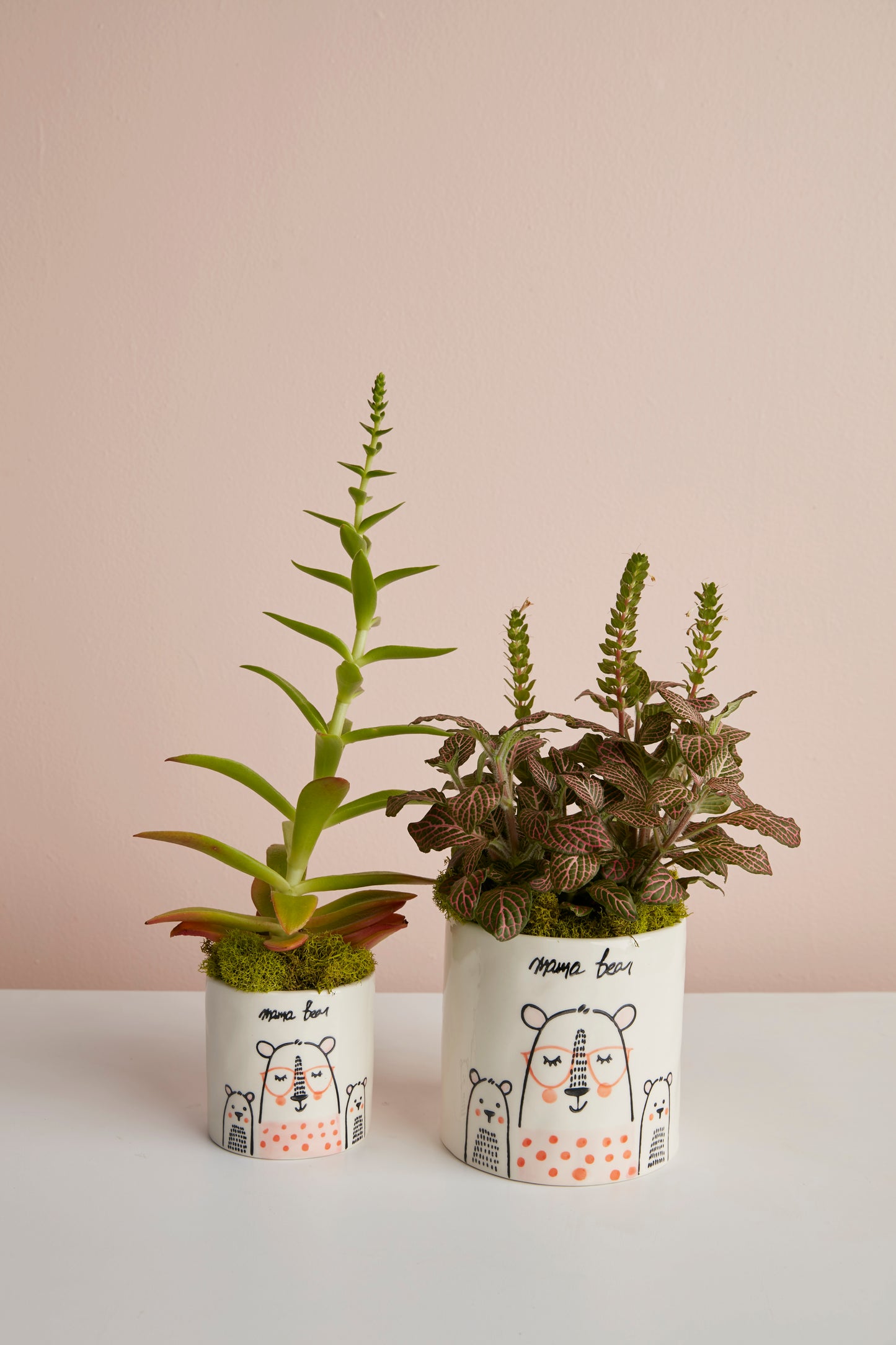 Mama Bear Collection Set of 8 By Accent Decor | Planters, Troughs & Cachepots | Modishstore - 4