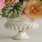 Manor Compote Set of 2 By Accent Decor | Planters, Troughs & Cachepots | Modishstore - 2