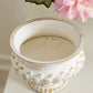 Manor Compote Set of 2 By Accent Decor | Planters, Troughs & Cachepots | Modishstore - 4