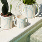Maritza Pot By Accent Decor | Planters, Troughs & Cachepots | Modishstore - 1