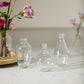 Marlena Budvase - Set of 12 By Accent Decor | Vases | Modishstore - 3