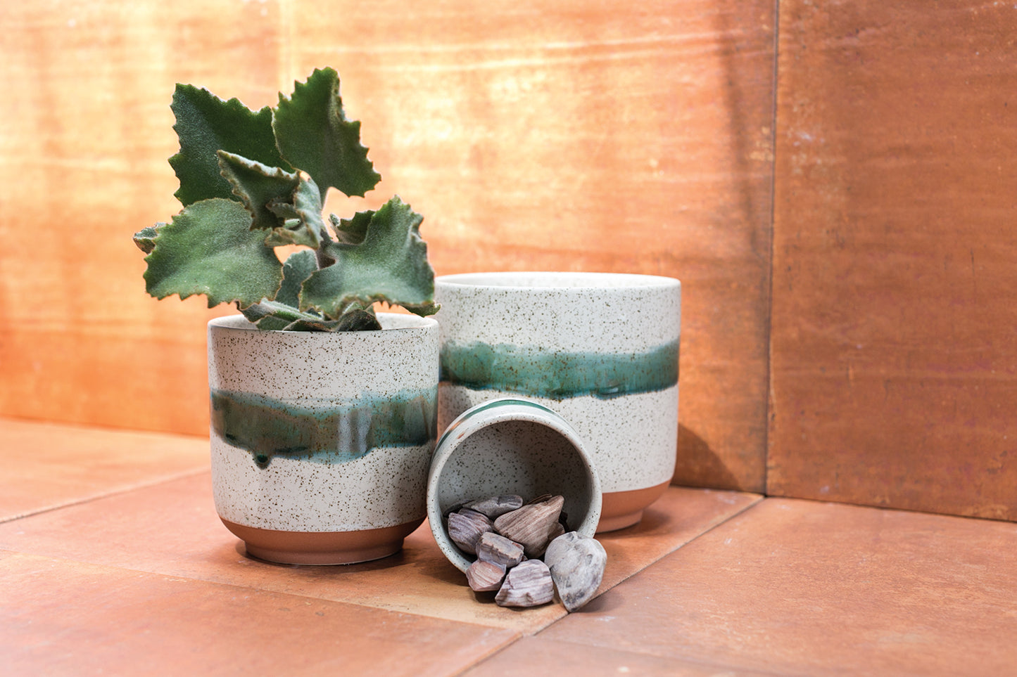 Mateo Pot Set of 8 By Accent Decor | Planters, Troughs & Cachepots | Modishstore - 3