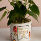 Matriarch Pot Set of 4 By Accent Decor | Planters, Troughs & Cachepots | Modishstore - 1