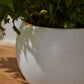 Mayu Pot Set of 2 By Accent Decor | Planters, Troughs & Cachepots | Modishstore - 1