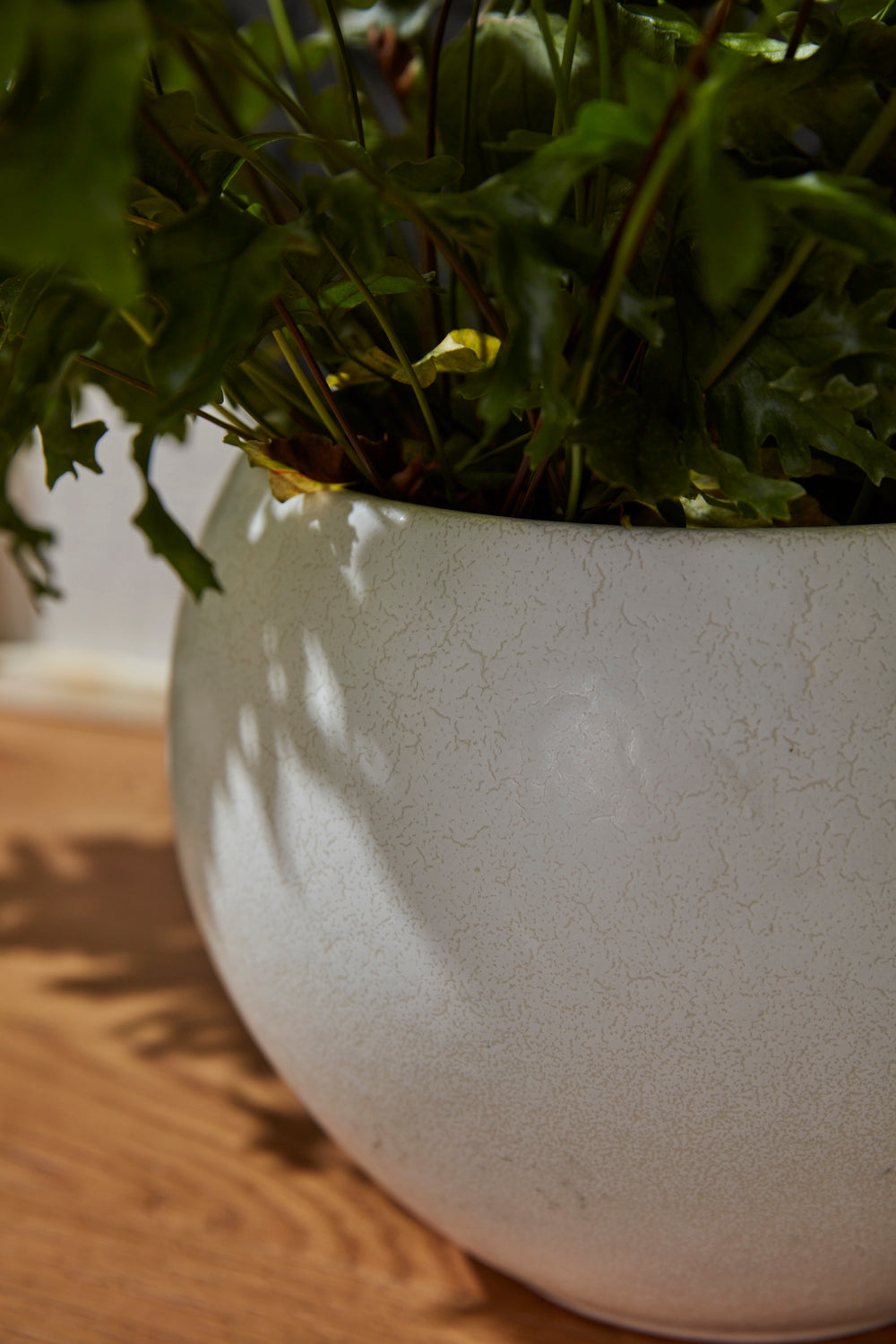 Mayu Pot Set of 2 By Accent Decor | Planters, Troughs & Cachepots | Modishstore - 1