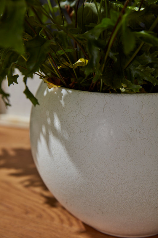 Mayu Pot Set of 2 By Accent Decor | Planters, Troughs & Cachepots | Modishstore - 1