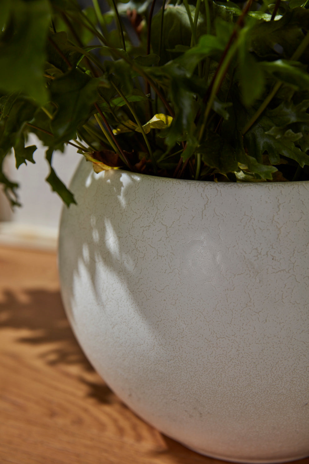 Mayu Pot Set of 2 By Accent Decor | Planters, Troughs & Cachepots | Modishstore - 1