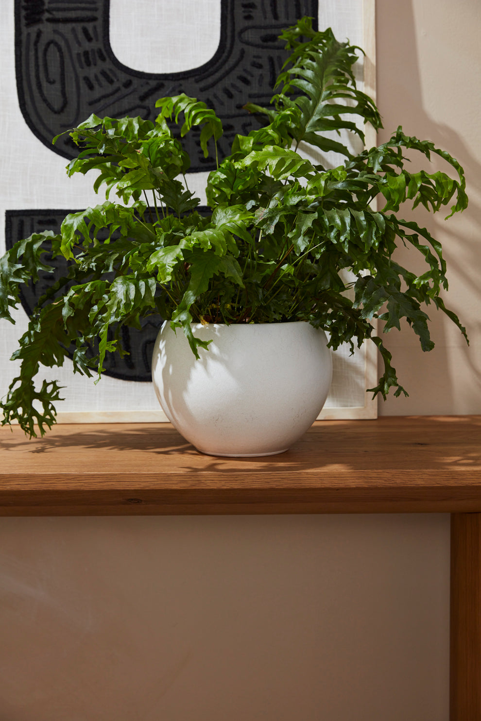 Mayu Pot Set of 2 By Accent Decor | Planters, Troughs & Cachepots | Modishstore - 3