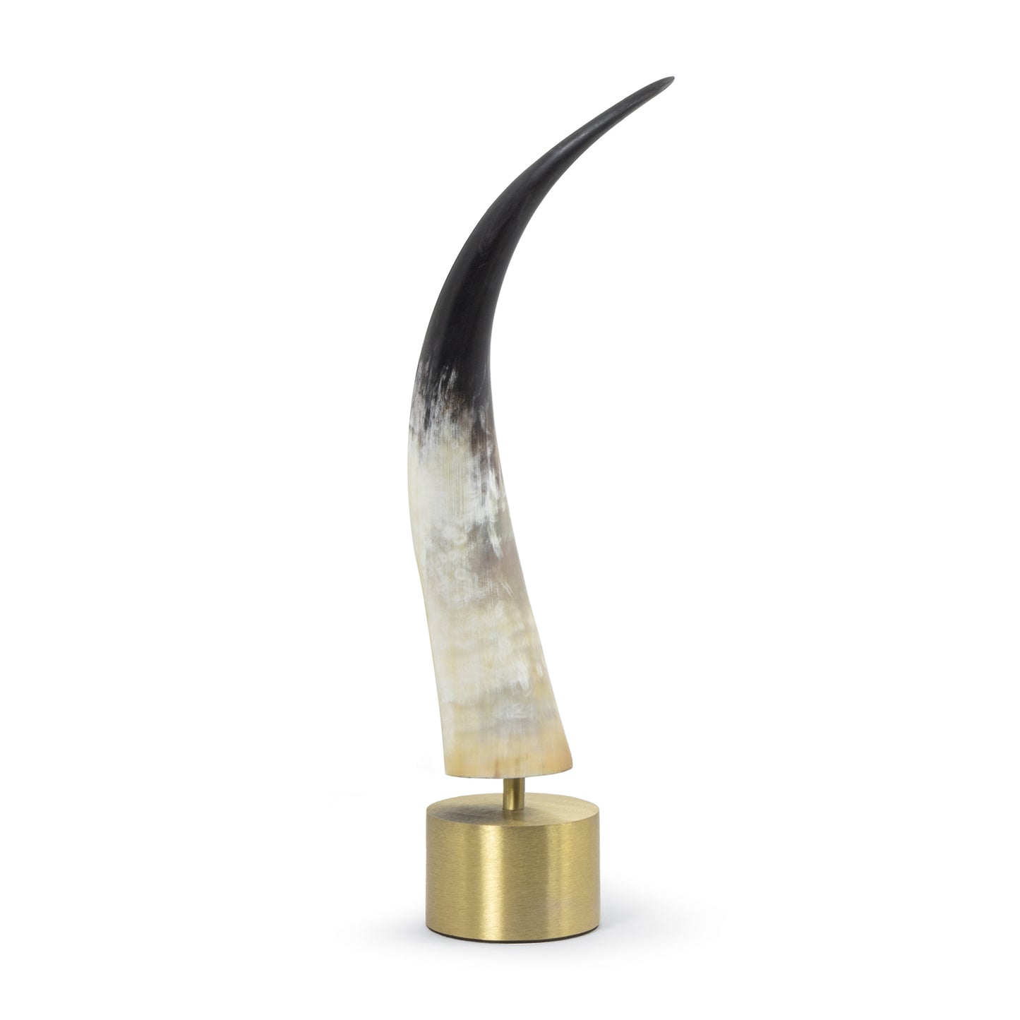 Daylon Horn Large By Regina Andrew | Sculptures | Modishstore - 2