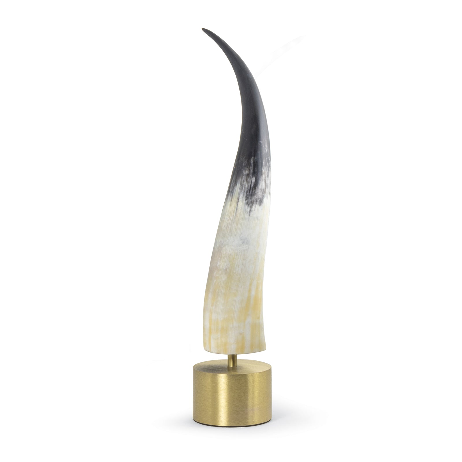 Daylon Horn Large By Regina Andrew | Sculptures | Modishstore - 4