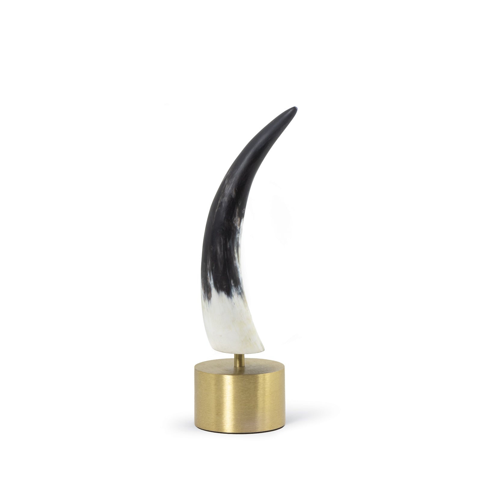Daylon Horn Small By Regina Andrew | Sculptures | Modishstore - 2