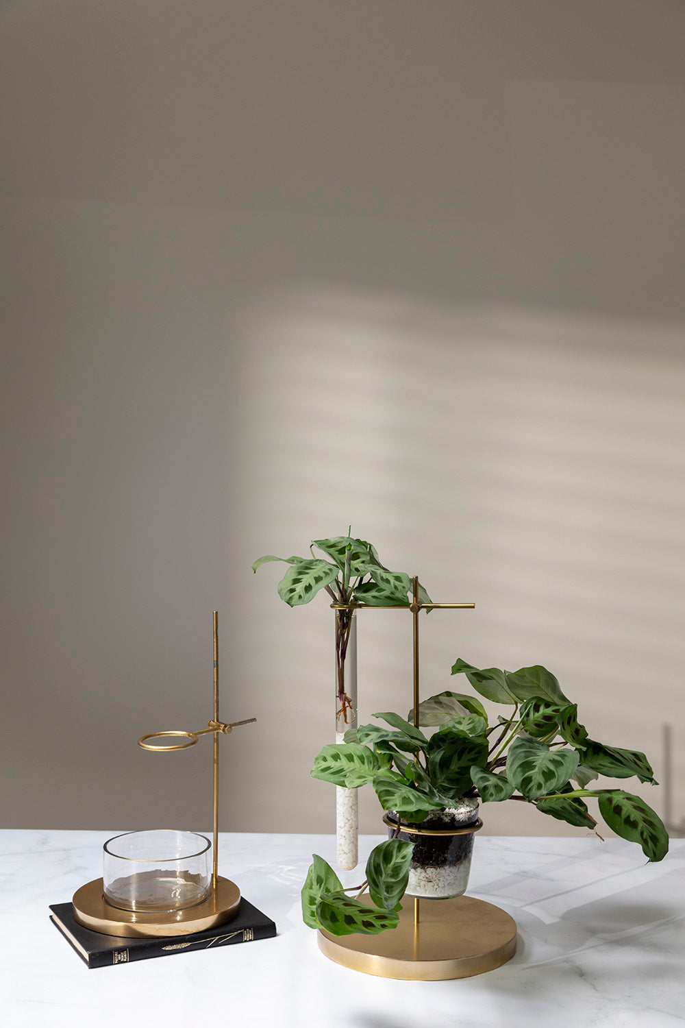 Mendel Collection By Accent Decor | Vases | Modishstore - 1