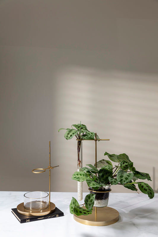 Mendel Collection By Accent Decor | Vases | Modishstore - 1