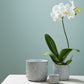 Millie Collection Set of 8 By Accent Decor | Planters, Troughs & Cachepots | Modishstore - 3