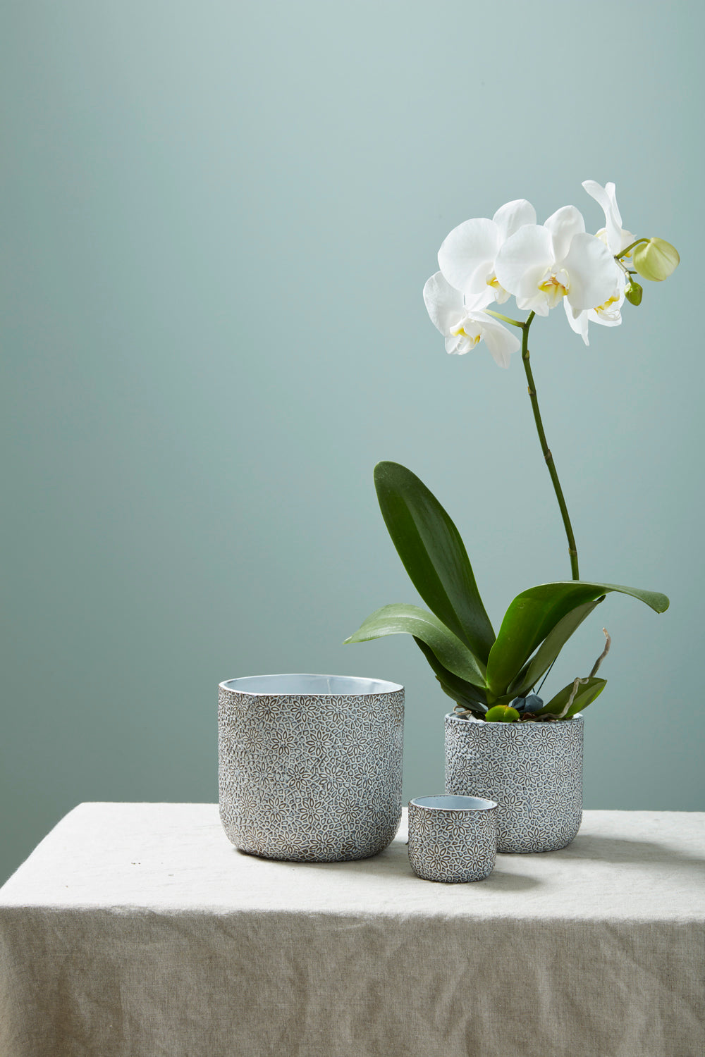 Millie Collection Set of 8 By Accent Decor | Planters, Troughs & Cachepots | Modishstore - 3