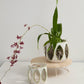 Minka Orchid Pot Set of 2 By Accent Decor | Planters, Troughs & Cachepots | Modishstore - 3