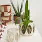 Minka Orchid Pot Set of 2 By Accent Decor | Planters, Troughs & Cachepots | Modishstore - 4