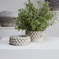 Mirabai Bowl By Accent Decor | Decorative Bowls | Modishstore - 3